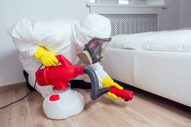 Best Local Pest Control Services  in Corinth, MS