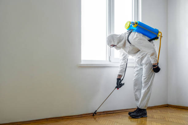 Best Commercial Pest Control Services  in Corinth, MS