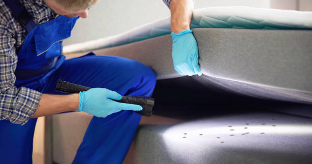 Best Pest Inspection Near Me  in Corinth, MS